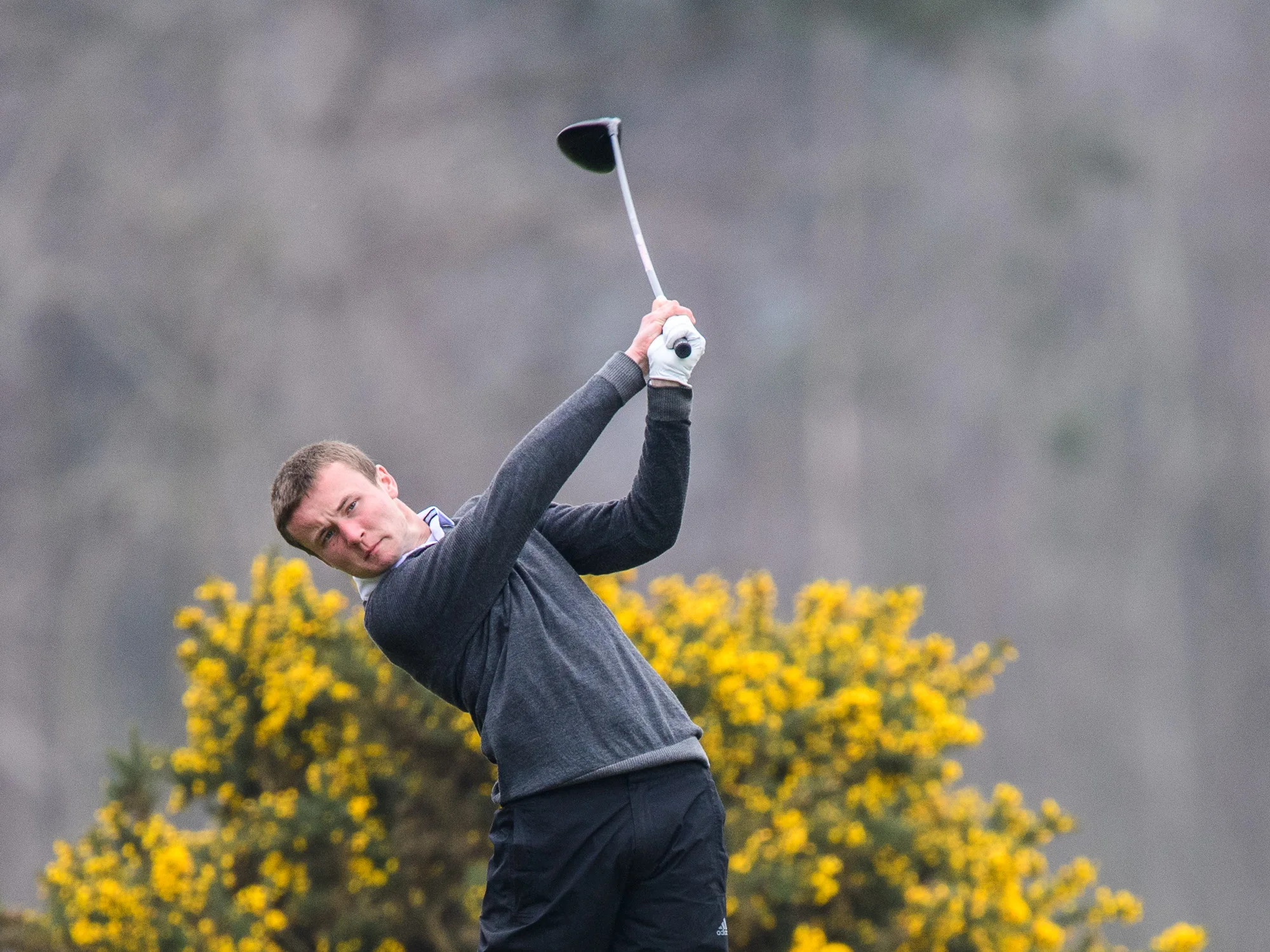 Sunningdale golf course Kevin Diss Golf Course photography-7568.jpg