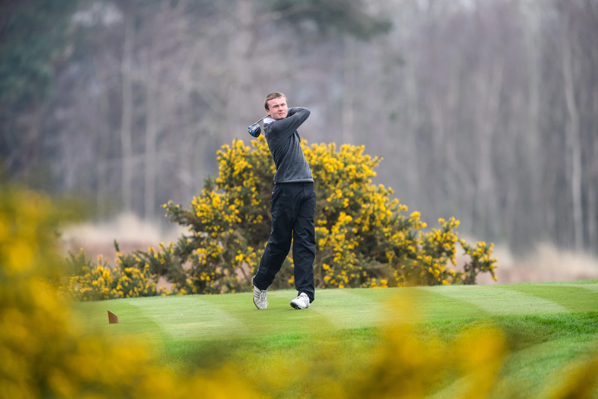 Sunningdale golf course Kevin Diss Golf Course photography-7574.jpg