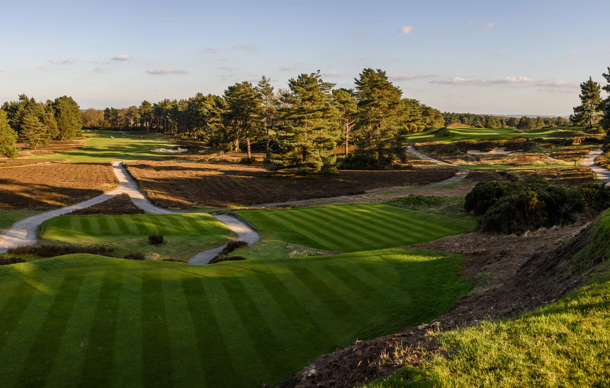 Sunningdale golf course Kevin Diss Golf Course photography--5.jpg