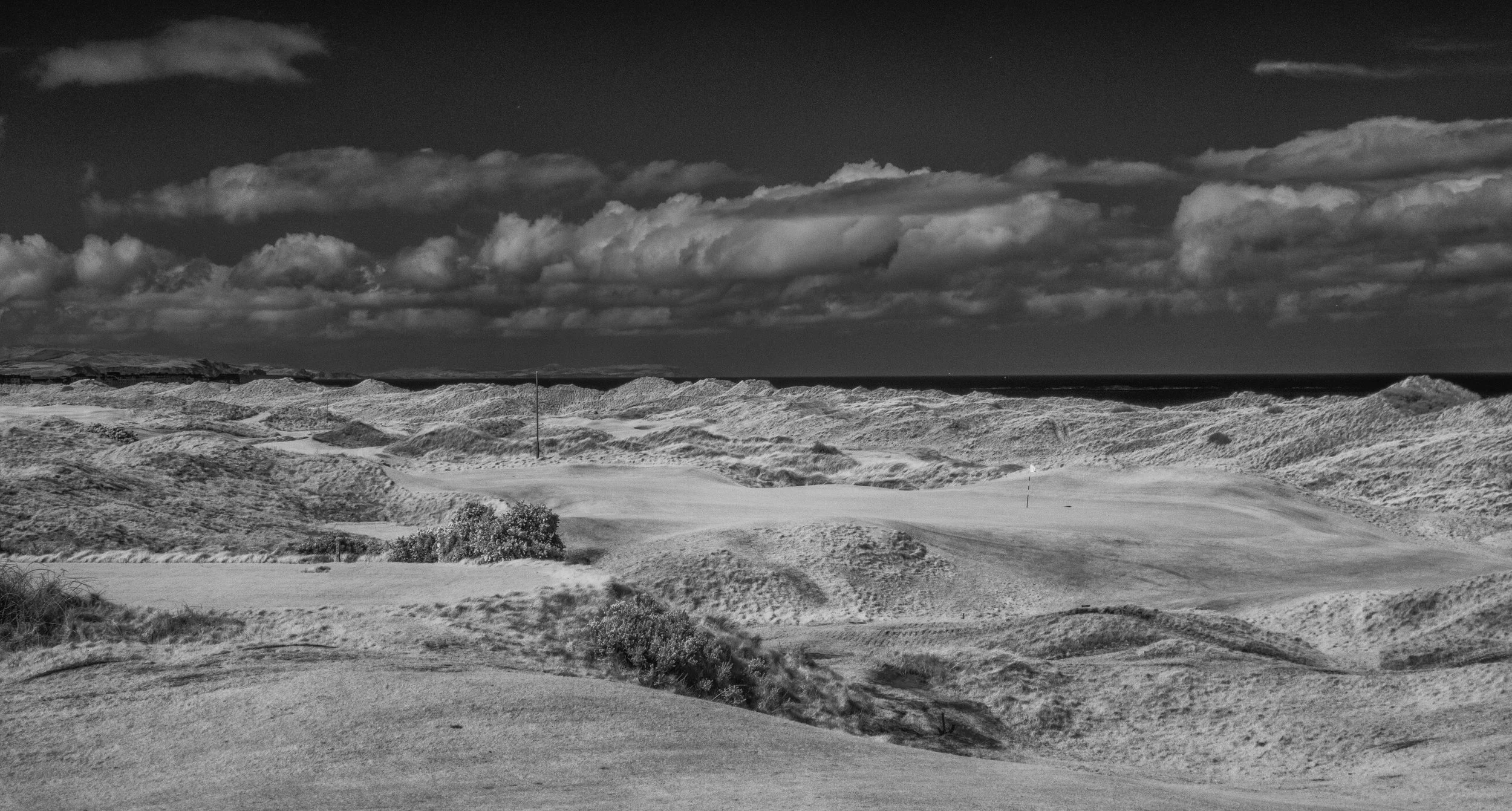 IMG_5558-Edit-Edit.jpg