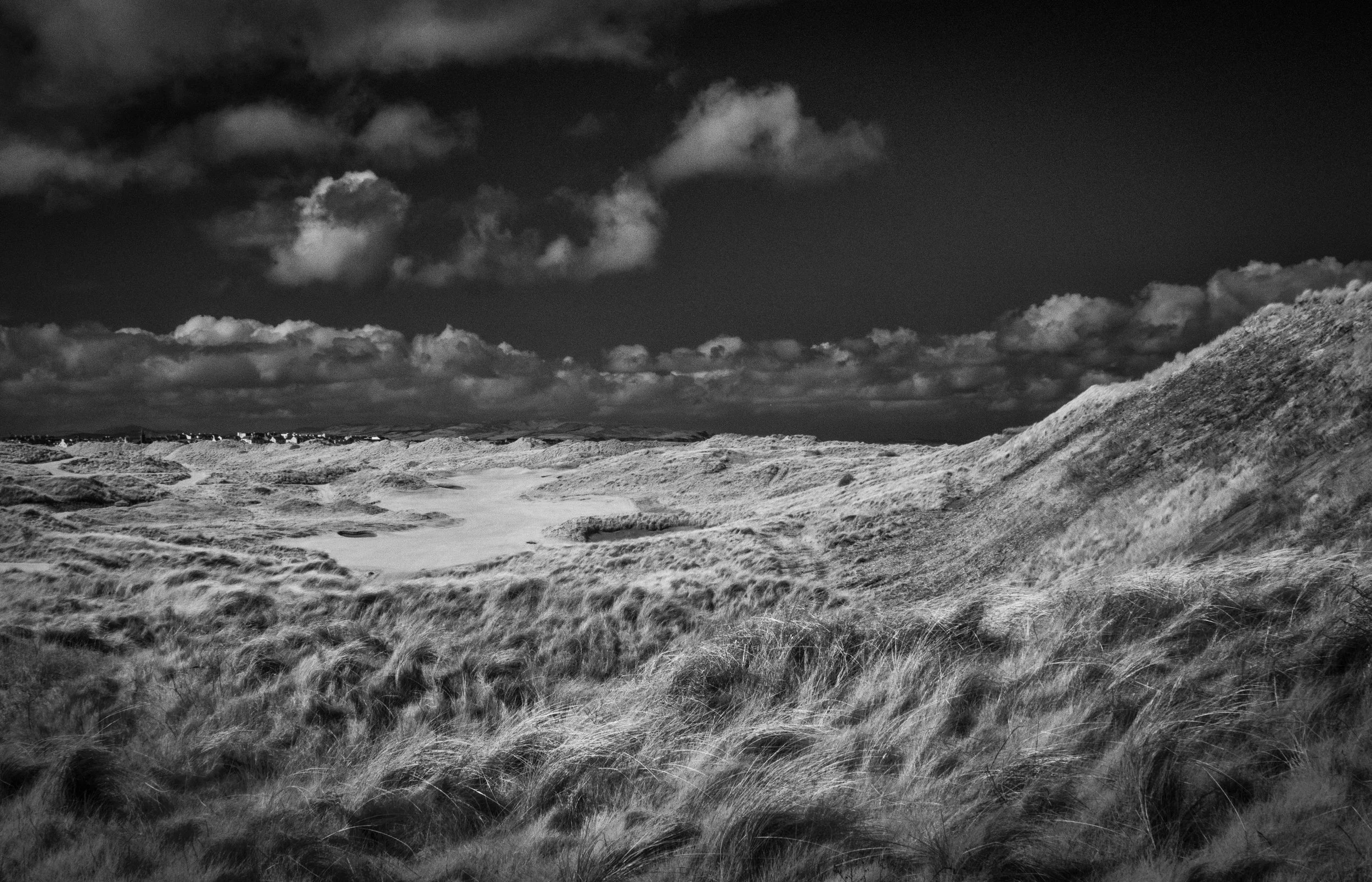 IMG_5574-Edit.jpg