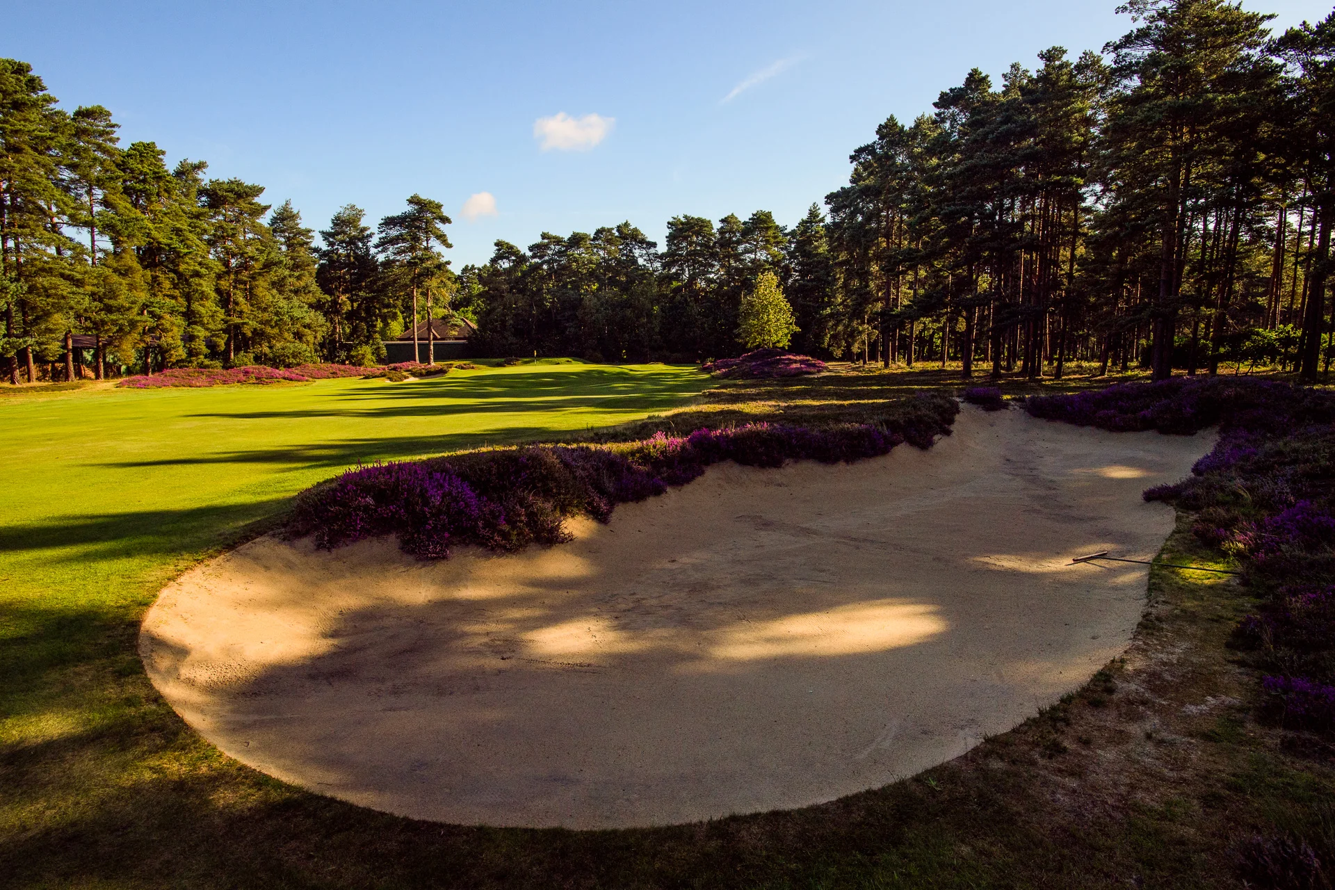 Sunningdale Golf Club collection--21.jpg
