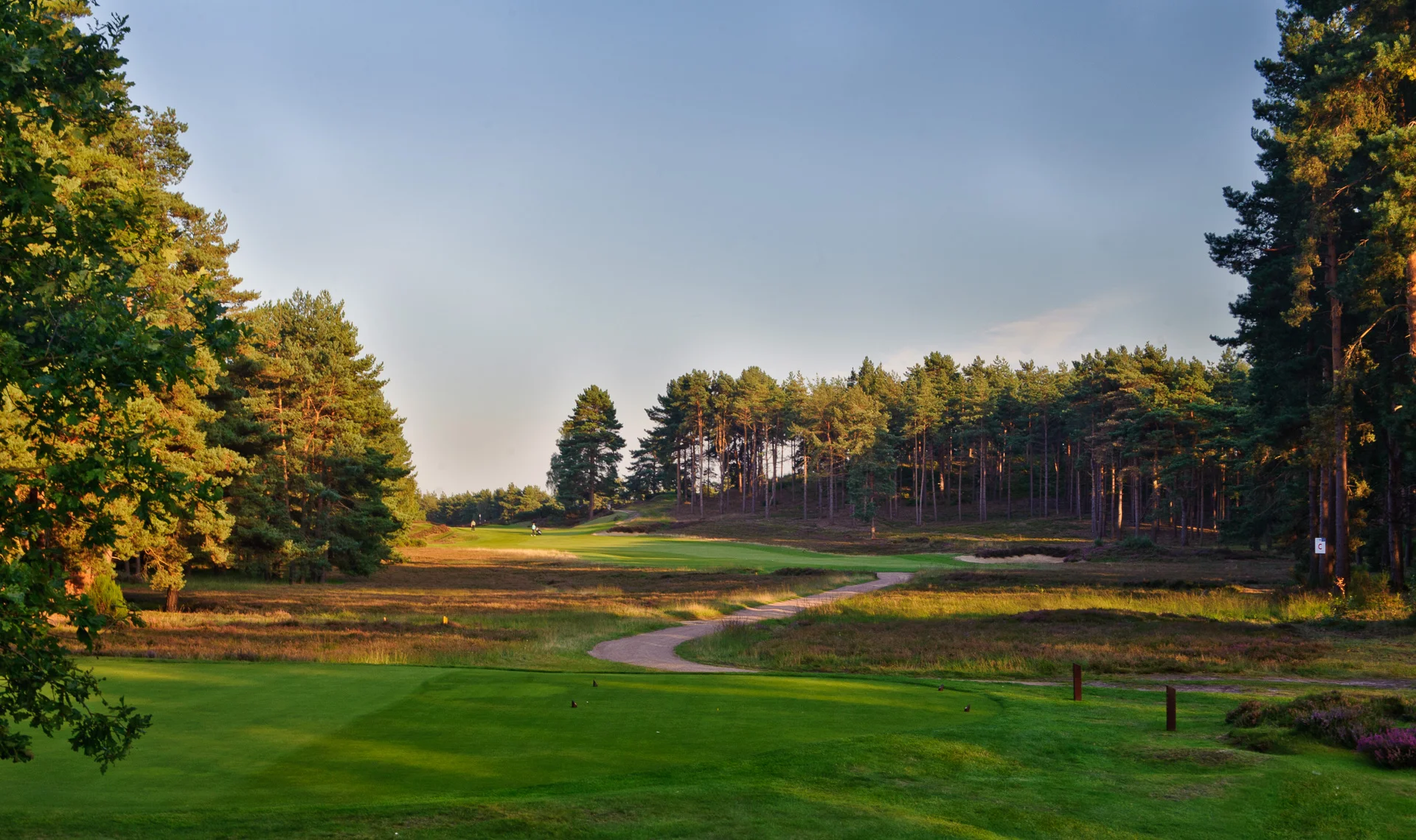 Sunningdale Golf Club collection-3492.jpg