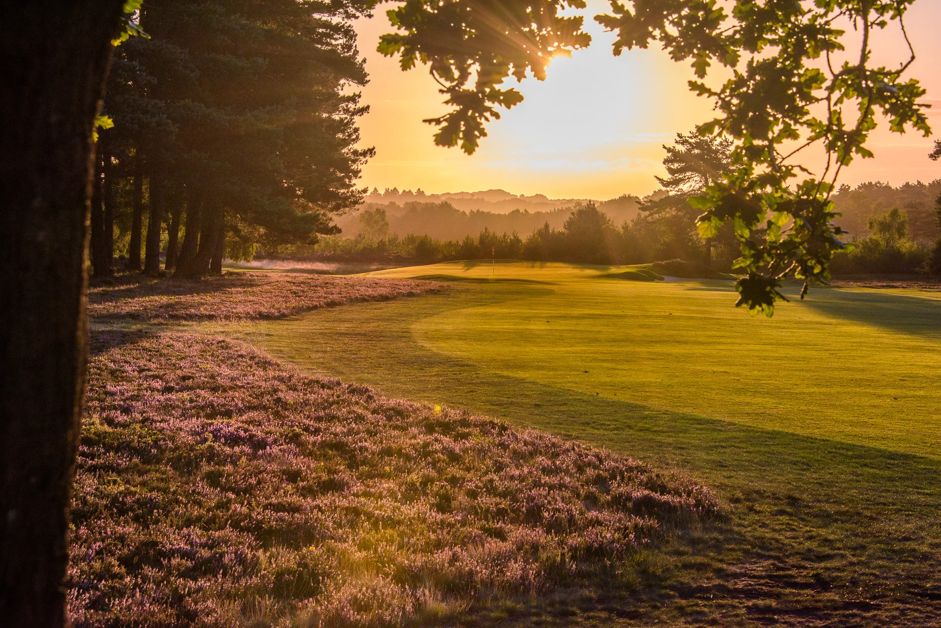 Sunningdale Golf Club collection-4965.jpg