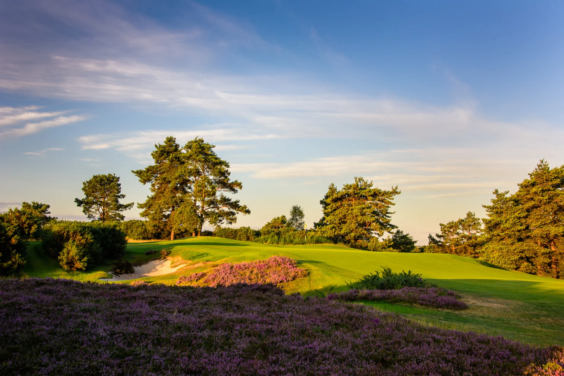 Sunningdale Golf Club collection-5021.jpg