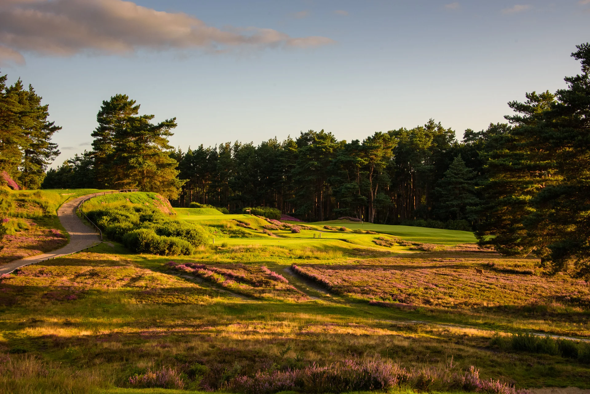 Sunningdale Golf Club collection-5194.jpg