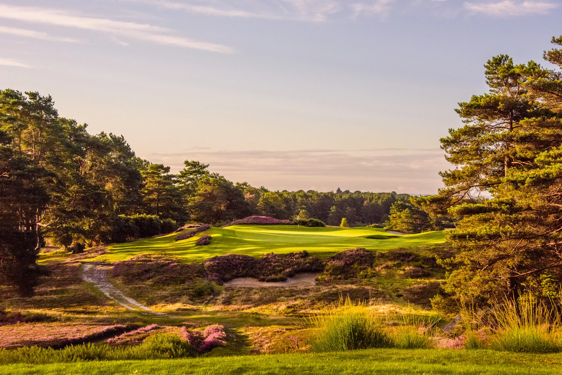 Sunningdale Golf Club collection-5321.jpg
