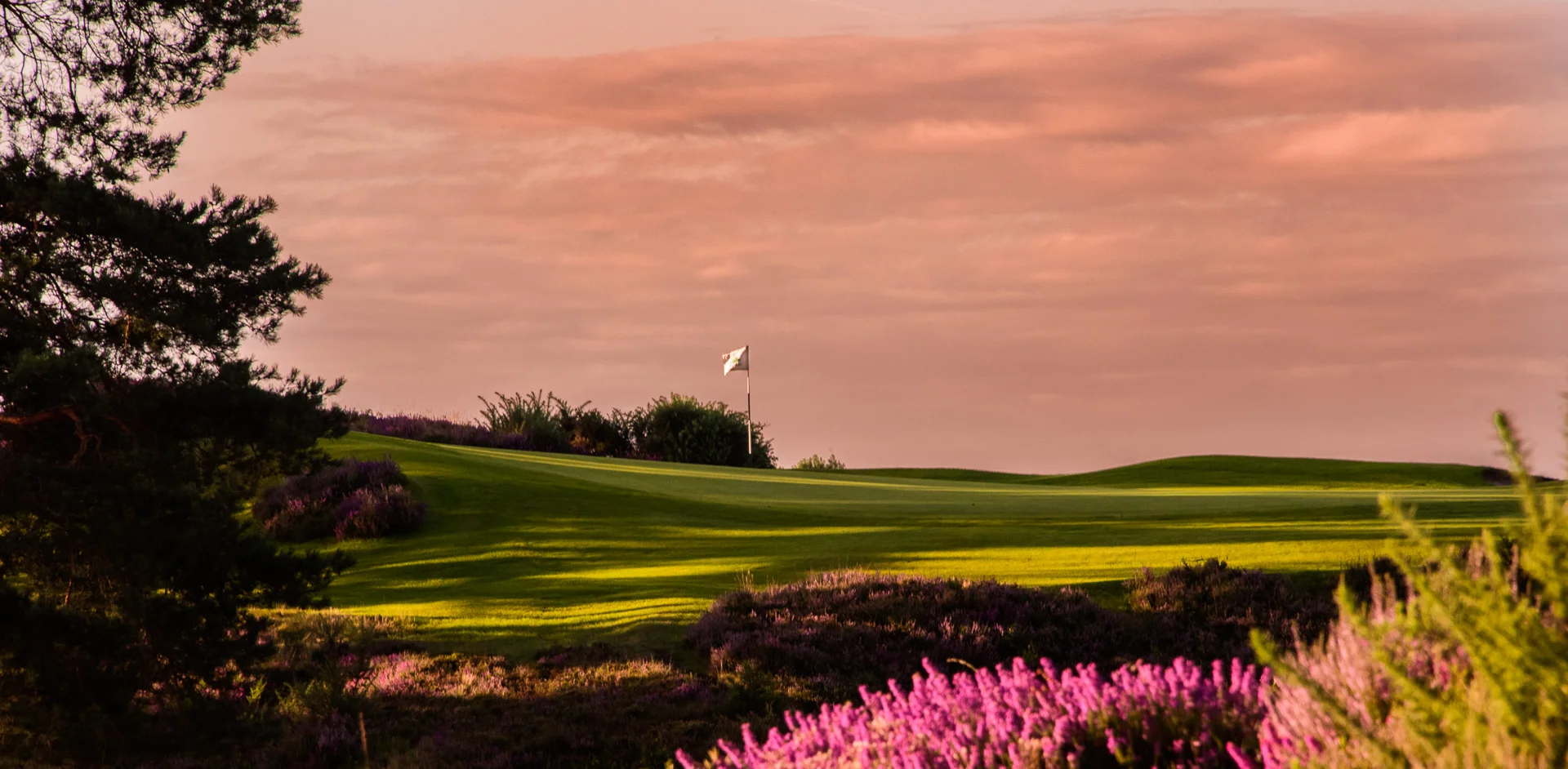 Sunningdale Golf Club collection-5430.jpg