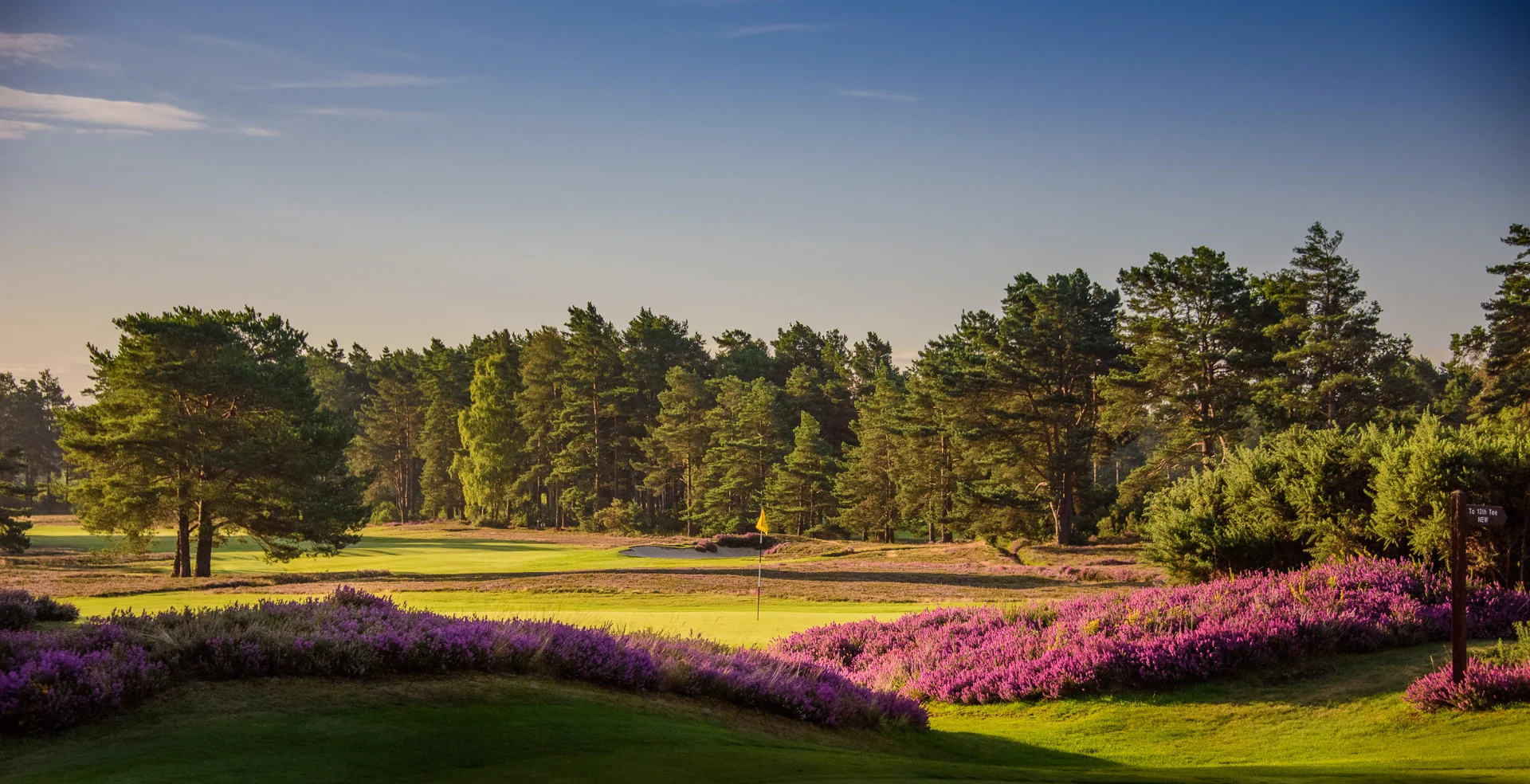 Sunningdale Golf Club collection-5452.jpg
