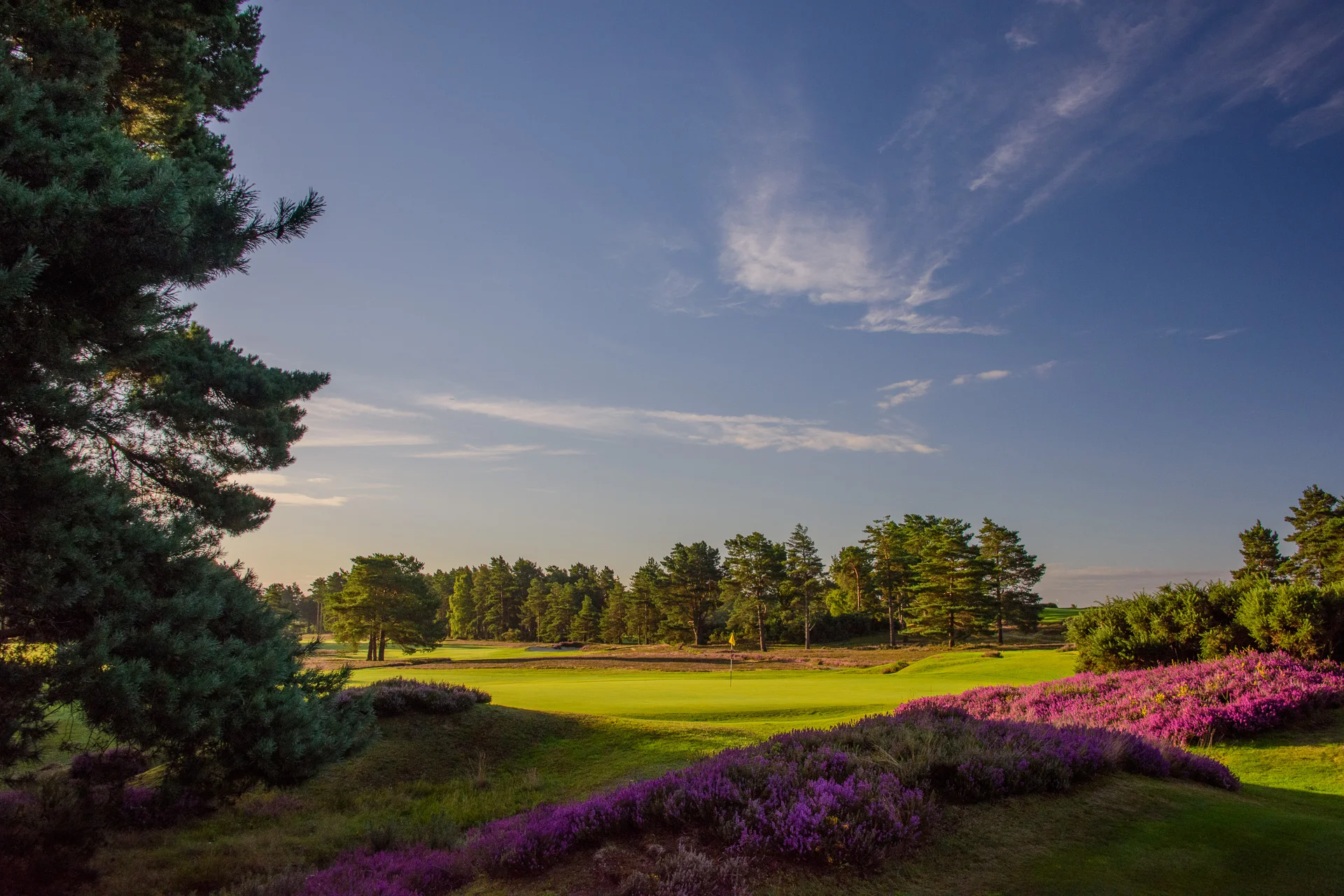 Sunningdale Golf Club collection-5463.jpg