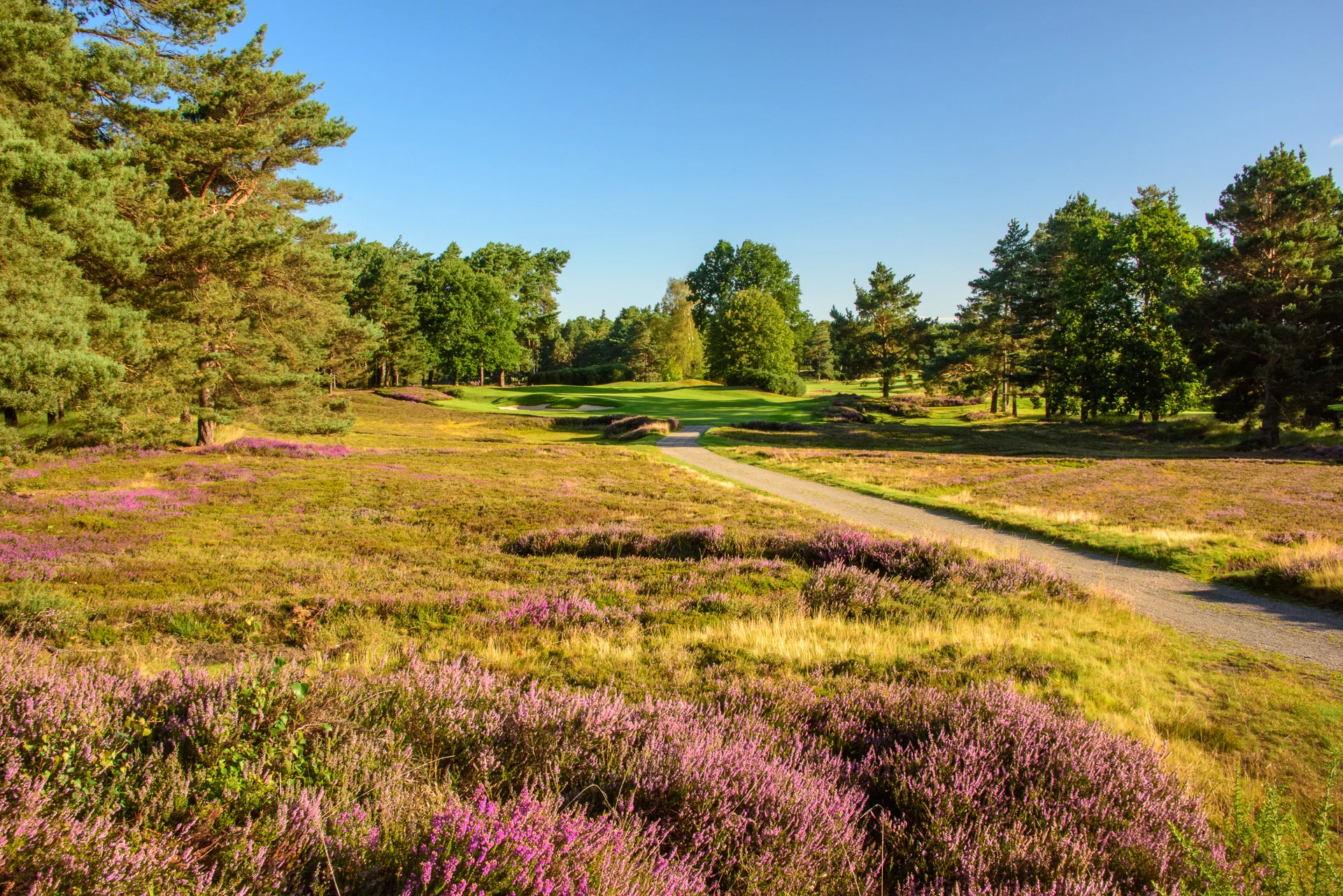 Sunningdale Golf Club collection-5706.jpg