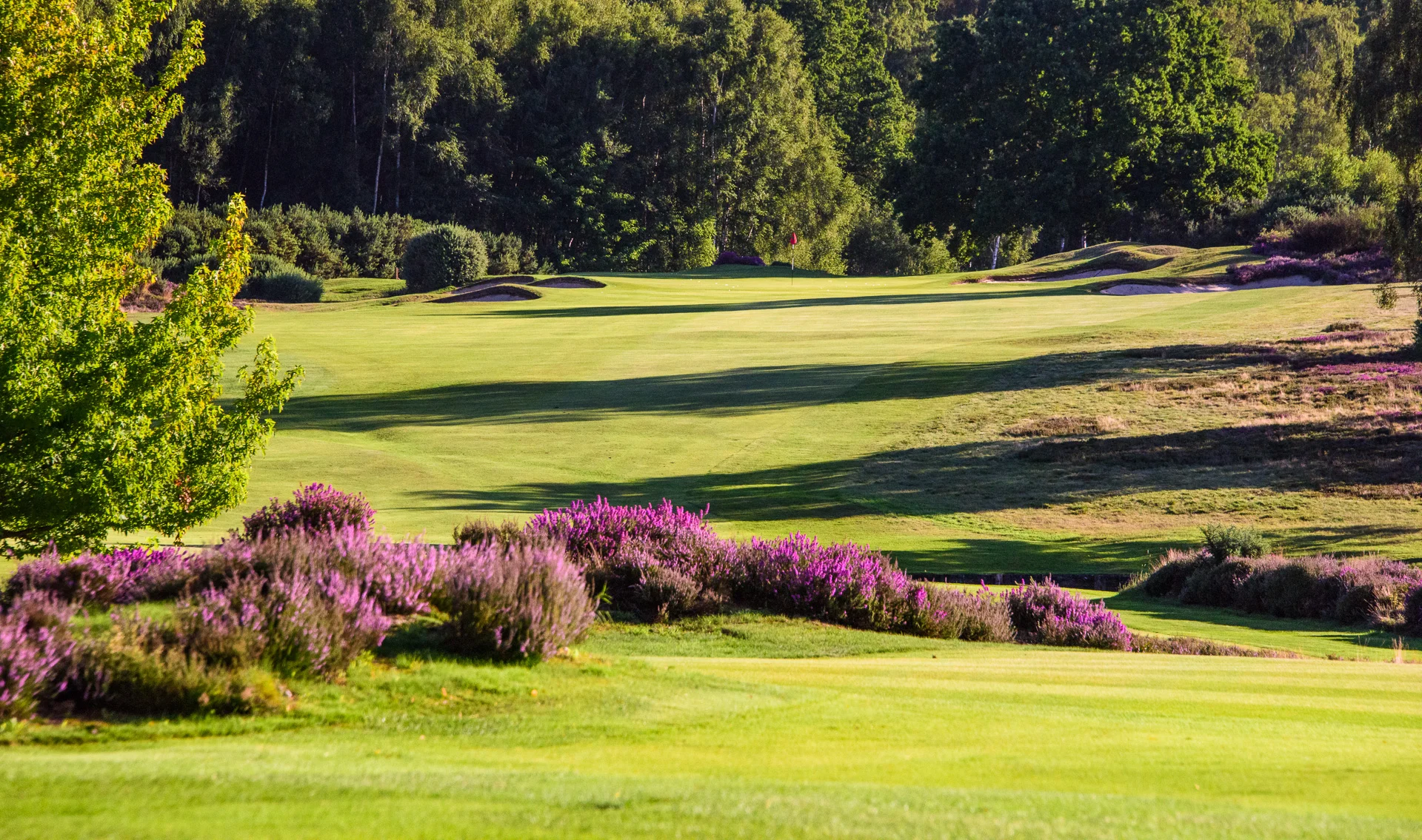Sunningdale Golf Club collection-5756.jpg