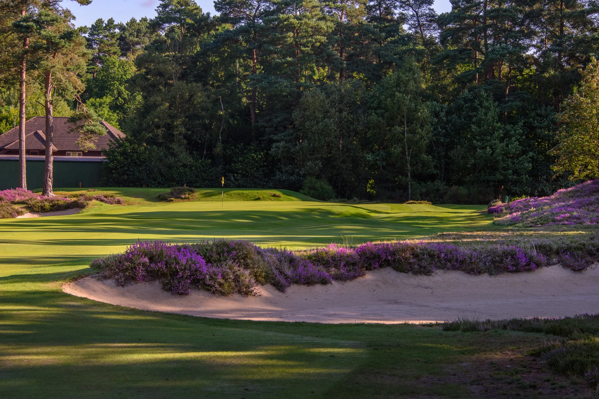 Sunningdale Golf Club collection-5999.jpg