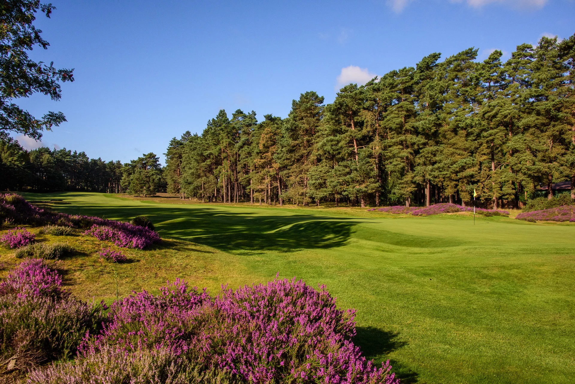 Sunningdale Golf Club collection-5931.jpg