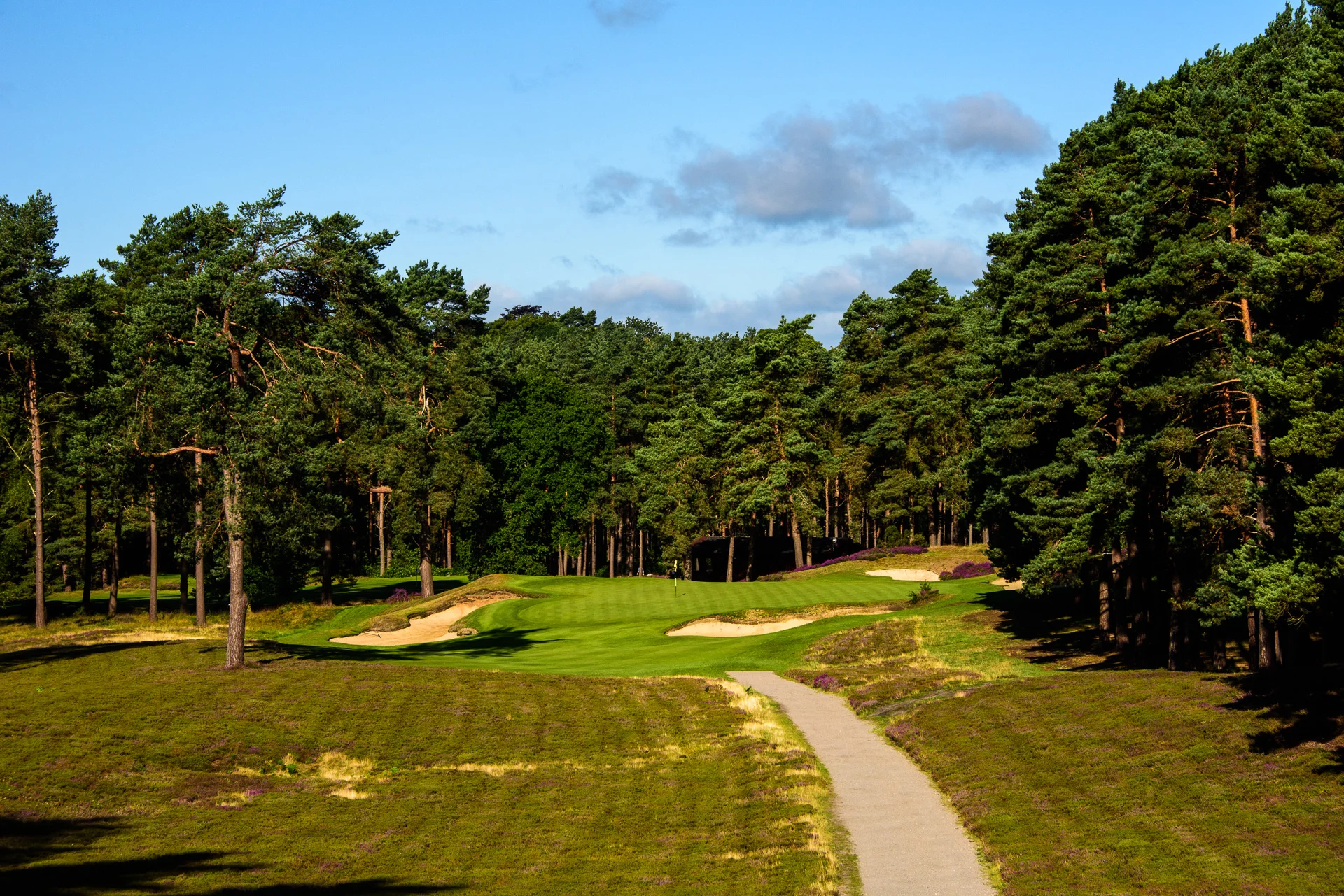 Sunningdale Golf Club collection-6081.jpg