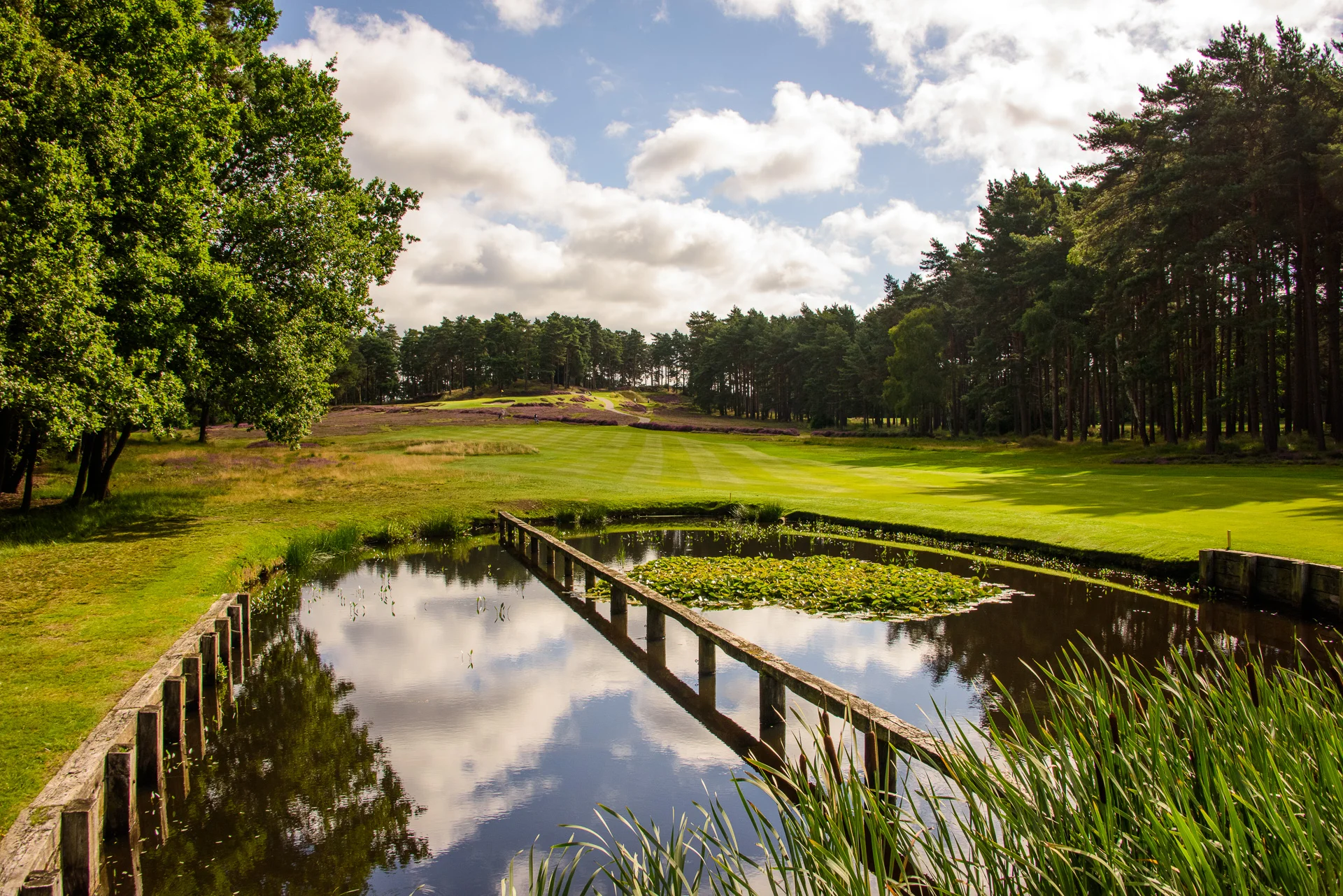 Sunningdale Golf Club collection-6378.jpg