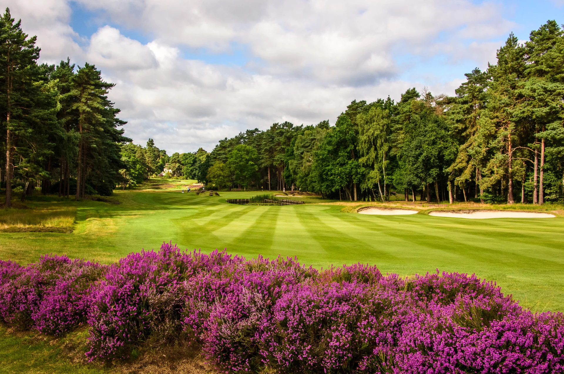 Sunningdale Golf Club collection-6402.jpg