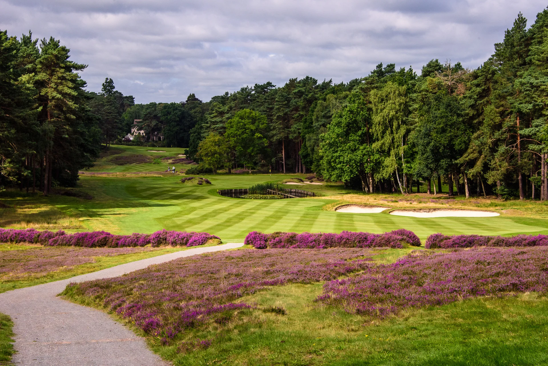 Sunningdale Golf Club collection-6429.jpg