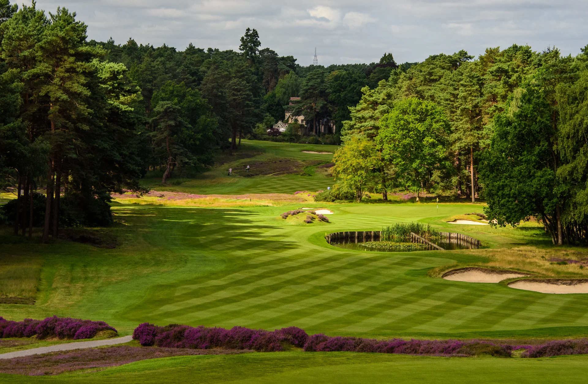 Sunningdale Golf Club collection-6454.jpg