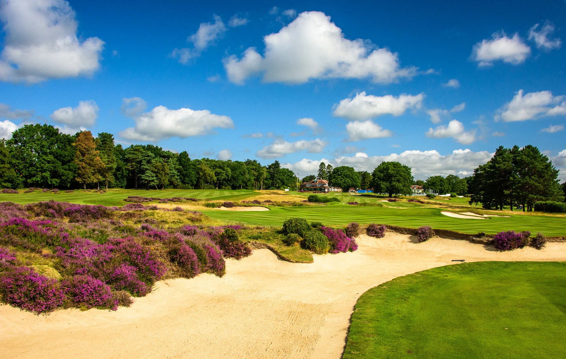 Sunningdale Golf Club collection-6647.jpg