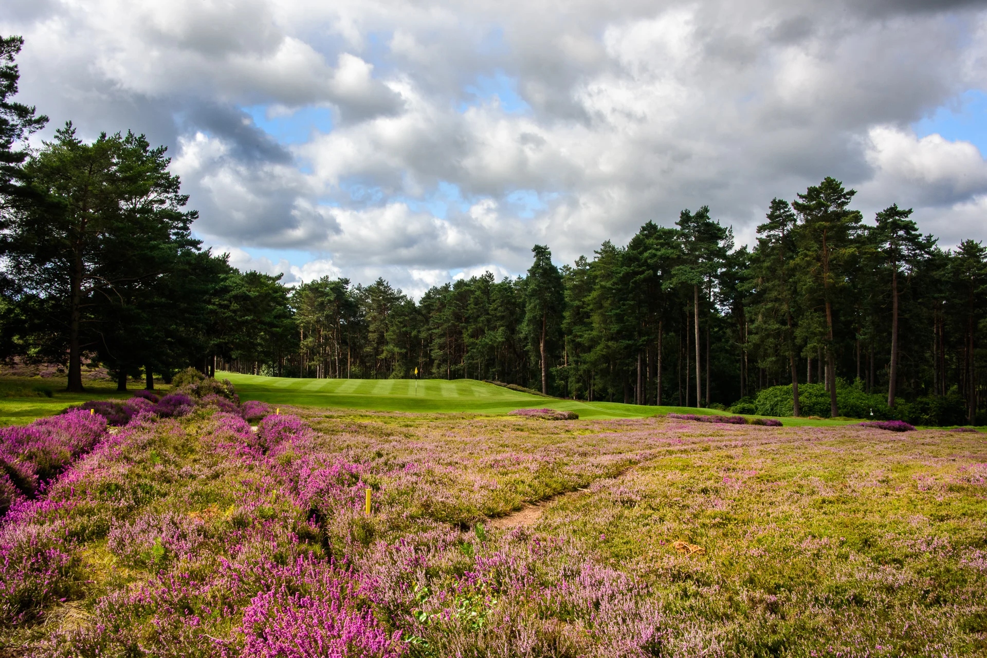 Sunningdale Golf Club collection-6823.jpg
