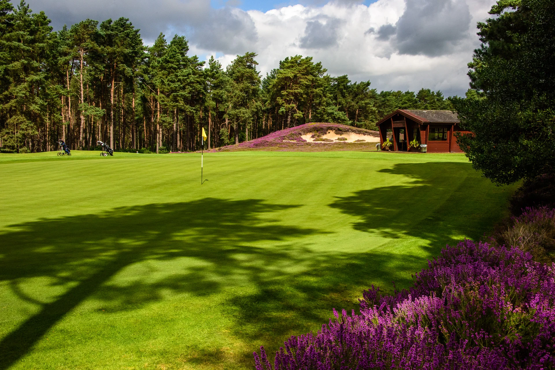 Sunningdale Golf Club collection-6861.jpg