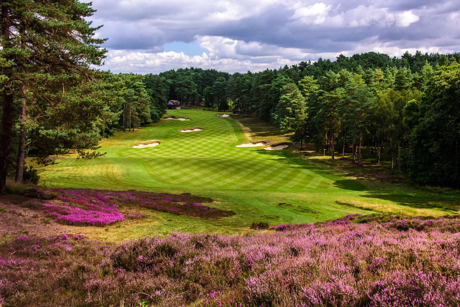 Sunningdale Golf Club collection-6879.jpg