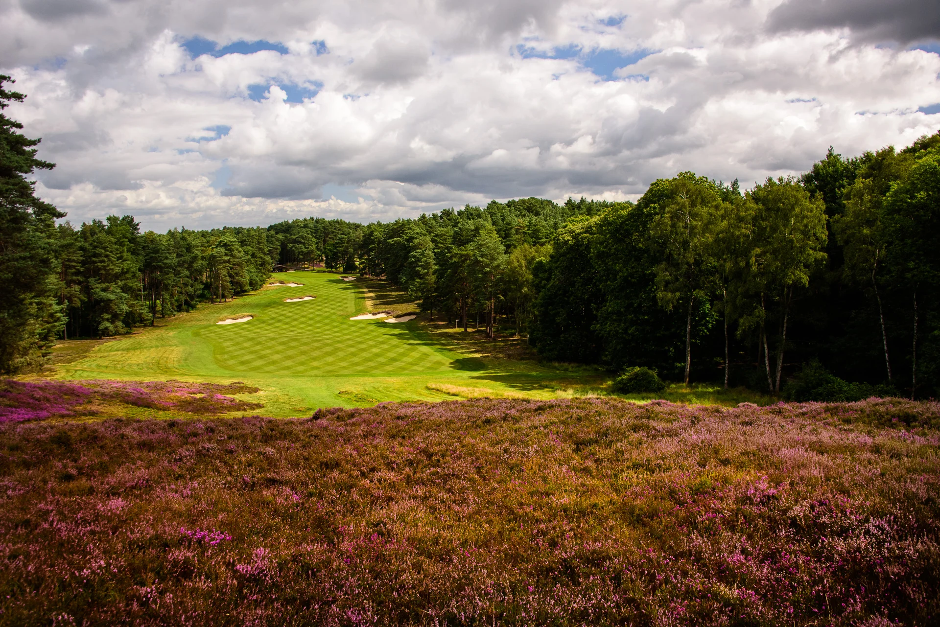 Sunningdale Golf Club collection-6949.jpg