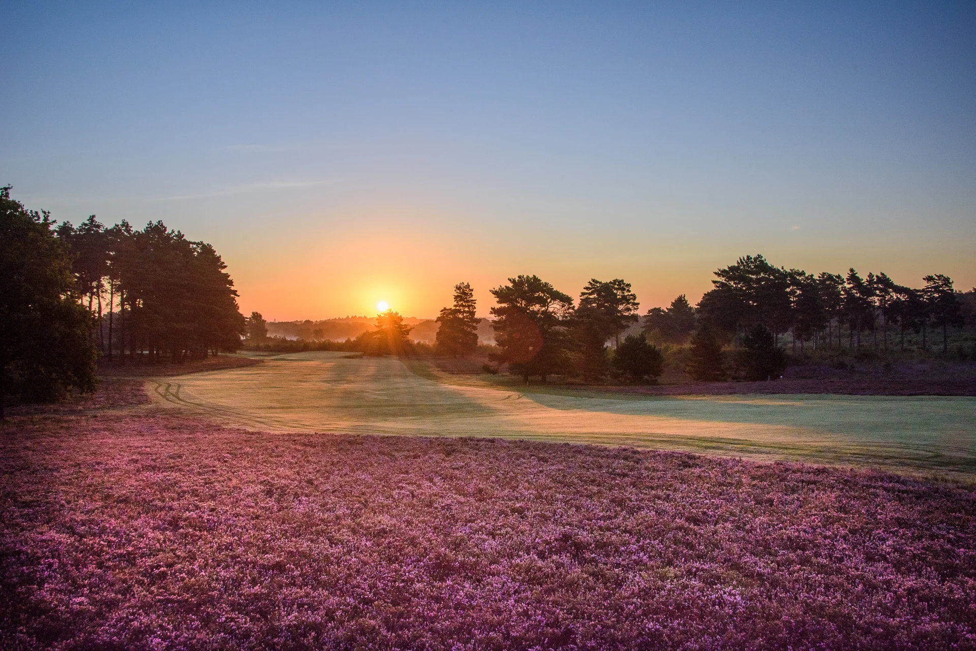 Sunningdale Golf Club collection-7082.jpg