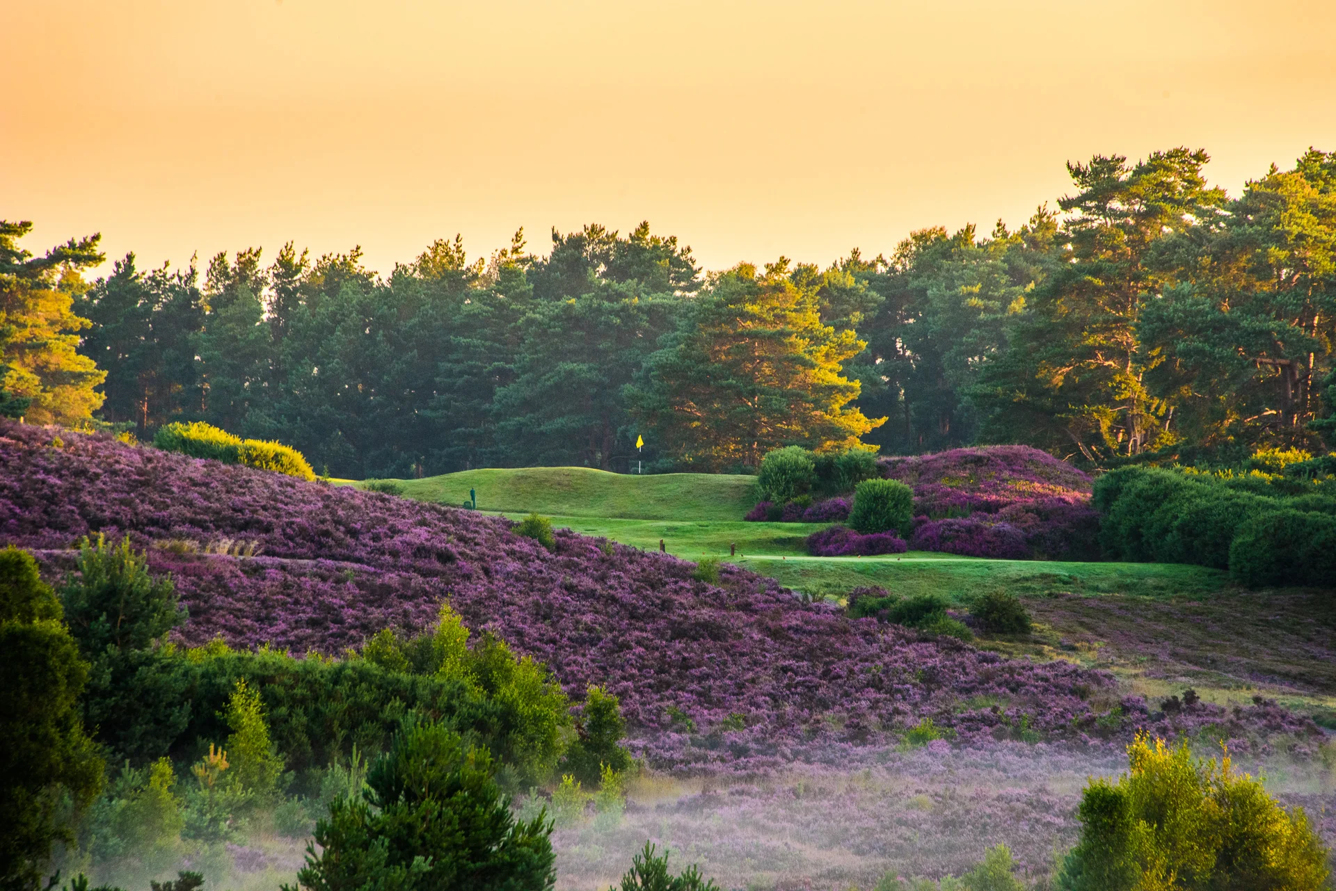 Sunningdale Golf Club collection-7358.jpg