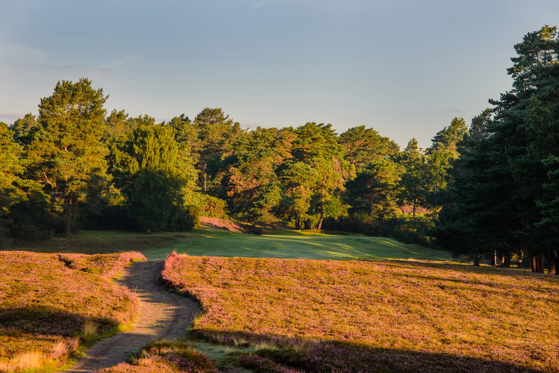 Sunningdale Golf Club collection-7534.jpg