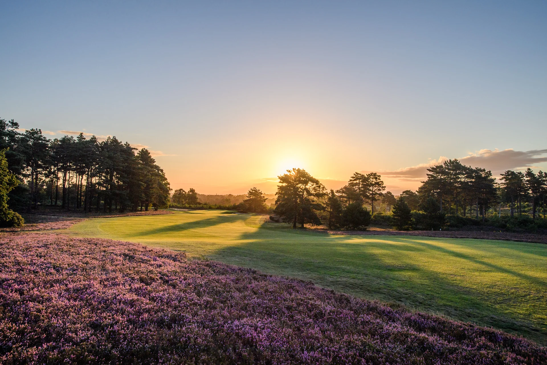 Sunningdale Golf Club collection-8355.jpg