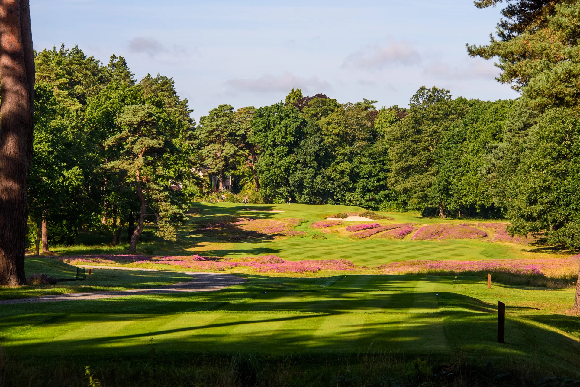 Sunningdale Golf Club collection-8454.jpg