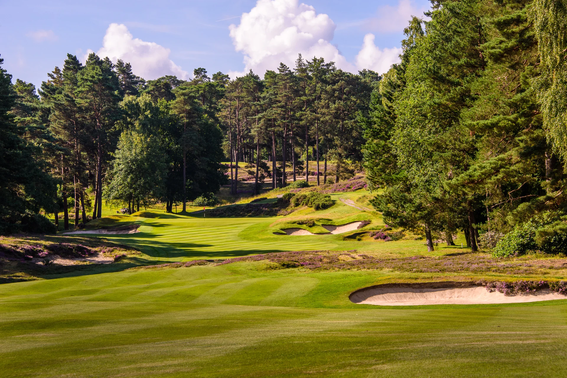 Sunningdale Golf Club collection-8607.jpg