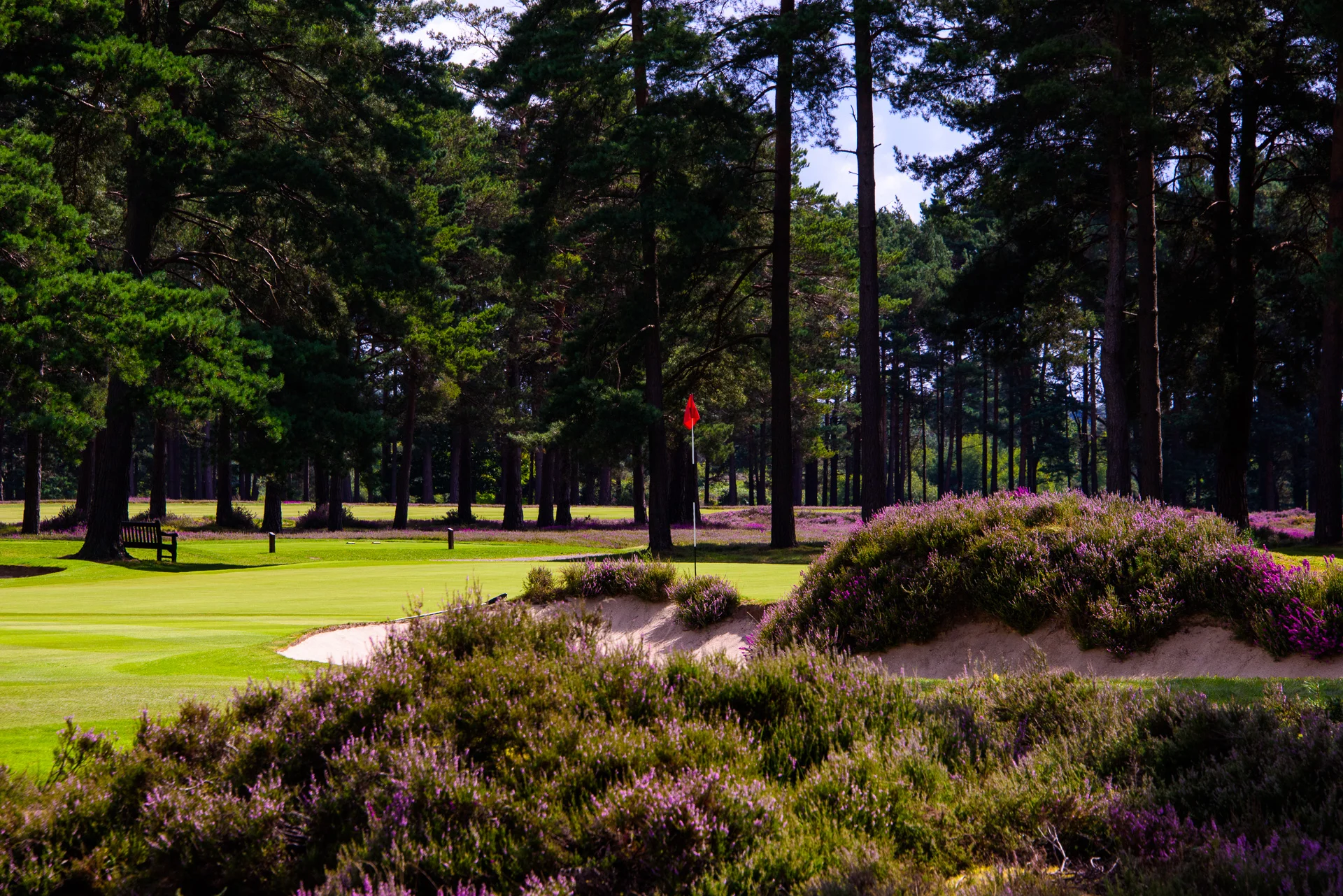 Sunningdale Golf Club collection-9208.jpg