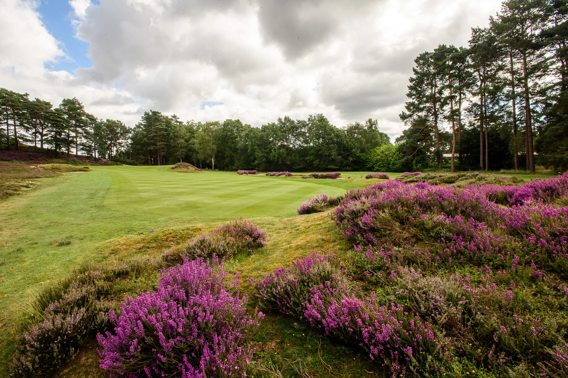 Sunningdale Old Course 12th hole-7.jpg