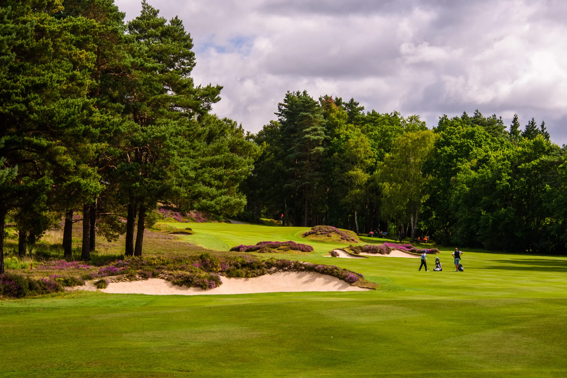 Sunningdale Old Course 12th hole-11.jpg
