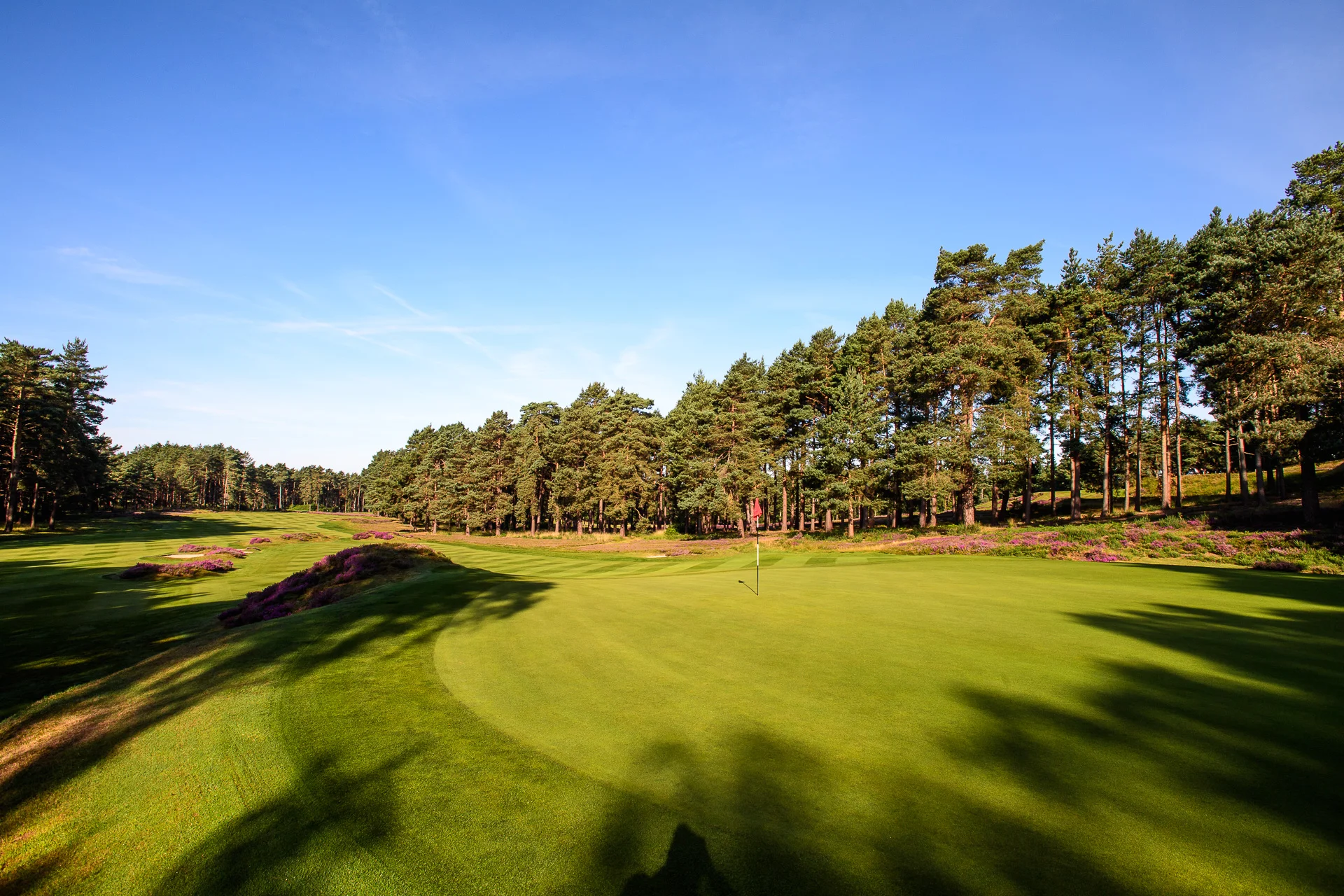 Sunningdale Old Course 12th hole-22.jpg