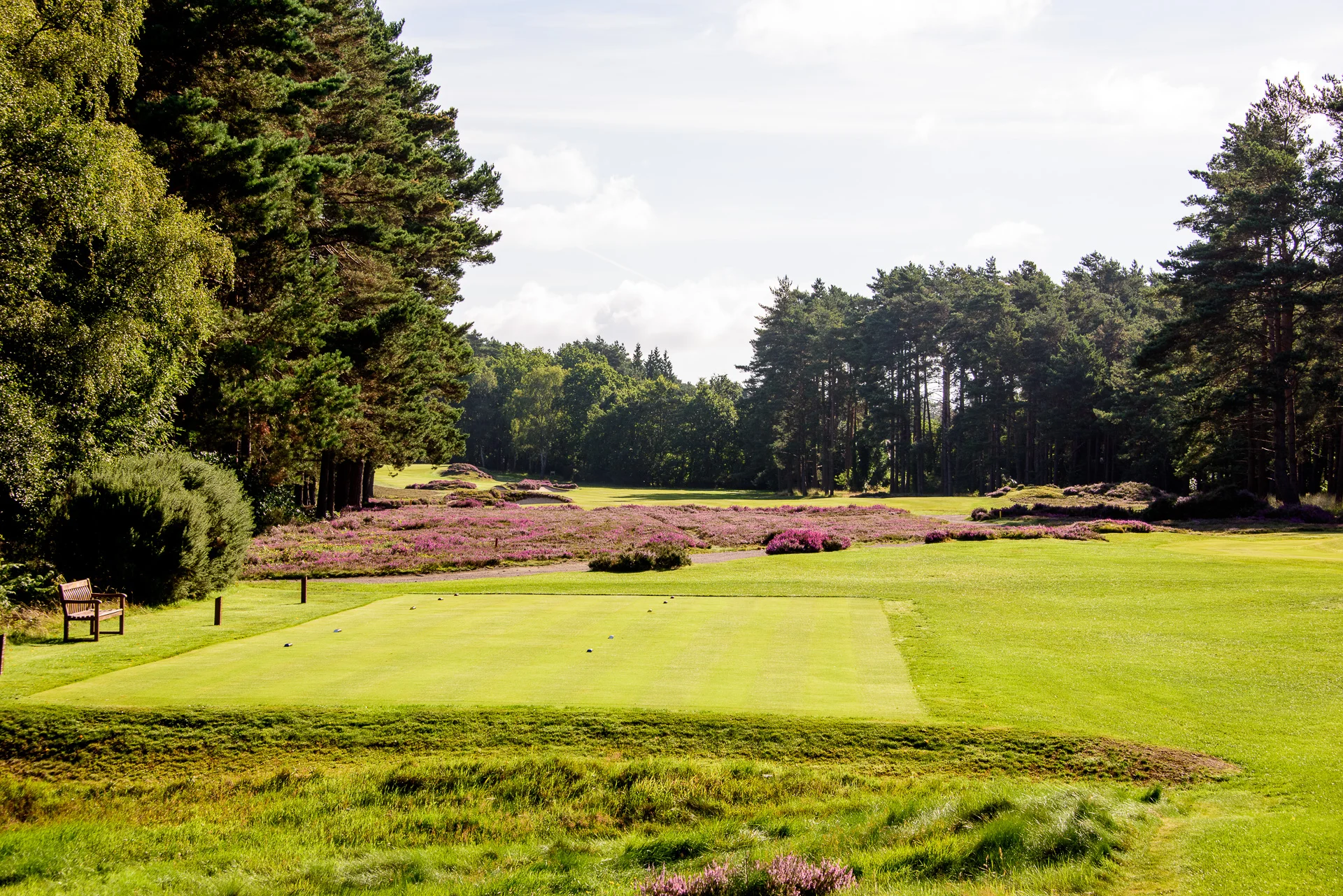 Sunningdale Old Course 12th hole-40.jpg