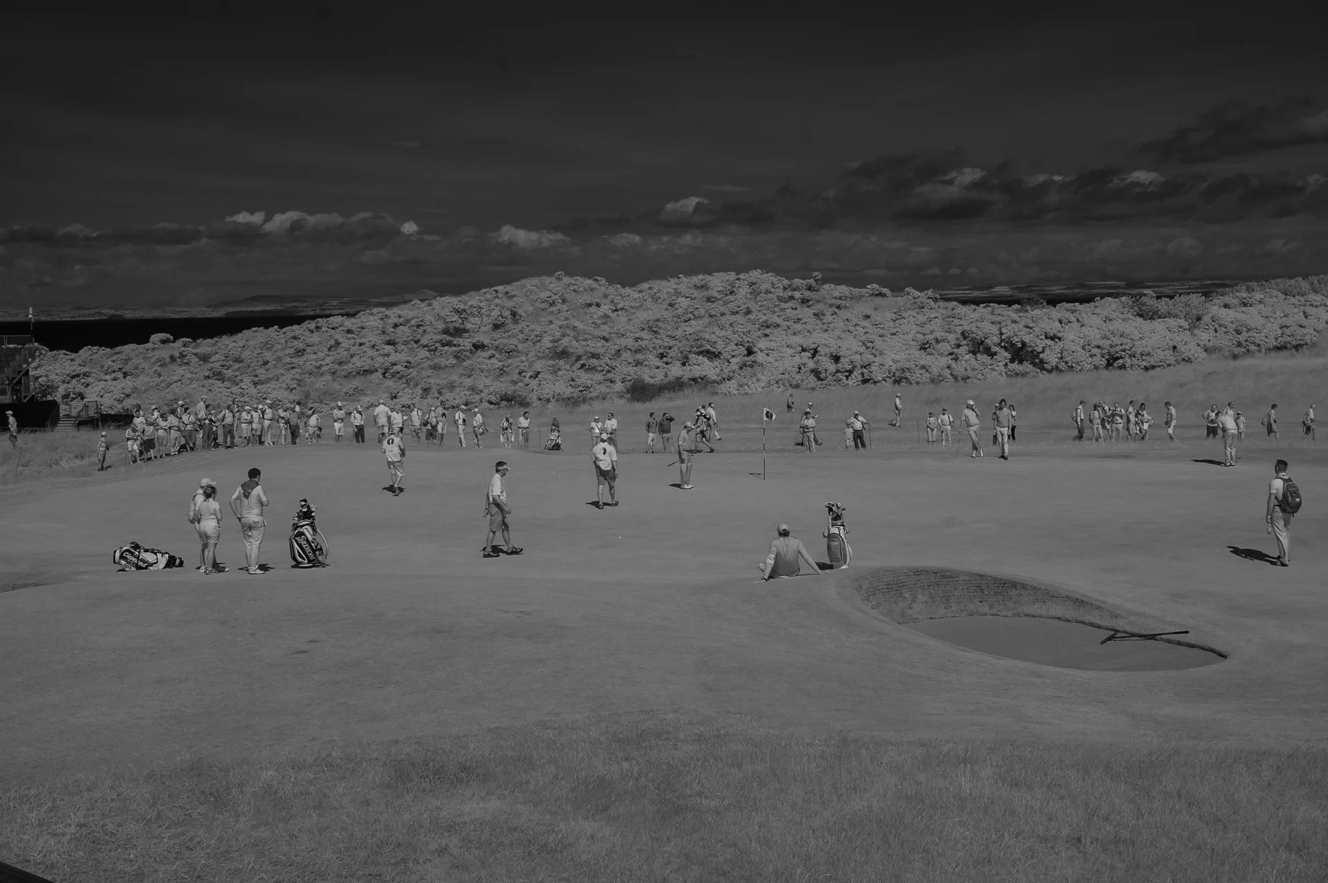 MuirfieldDSC_4808.jpg