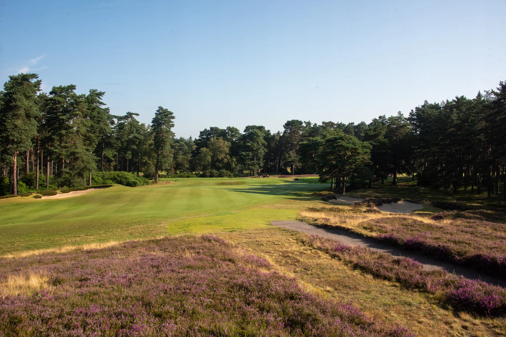 Sunningdale golf clubDSC_0859.jpg