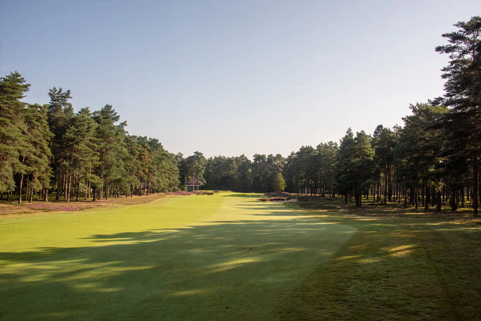 Sunningdale golf clubDSC_0934.jpg