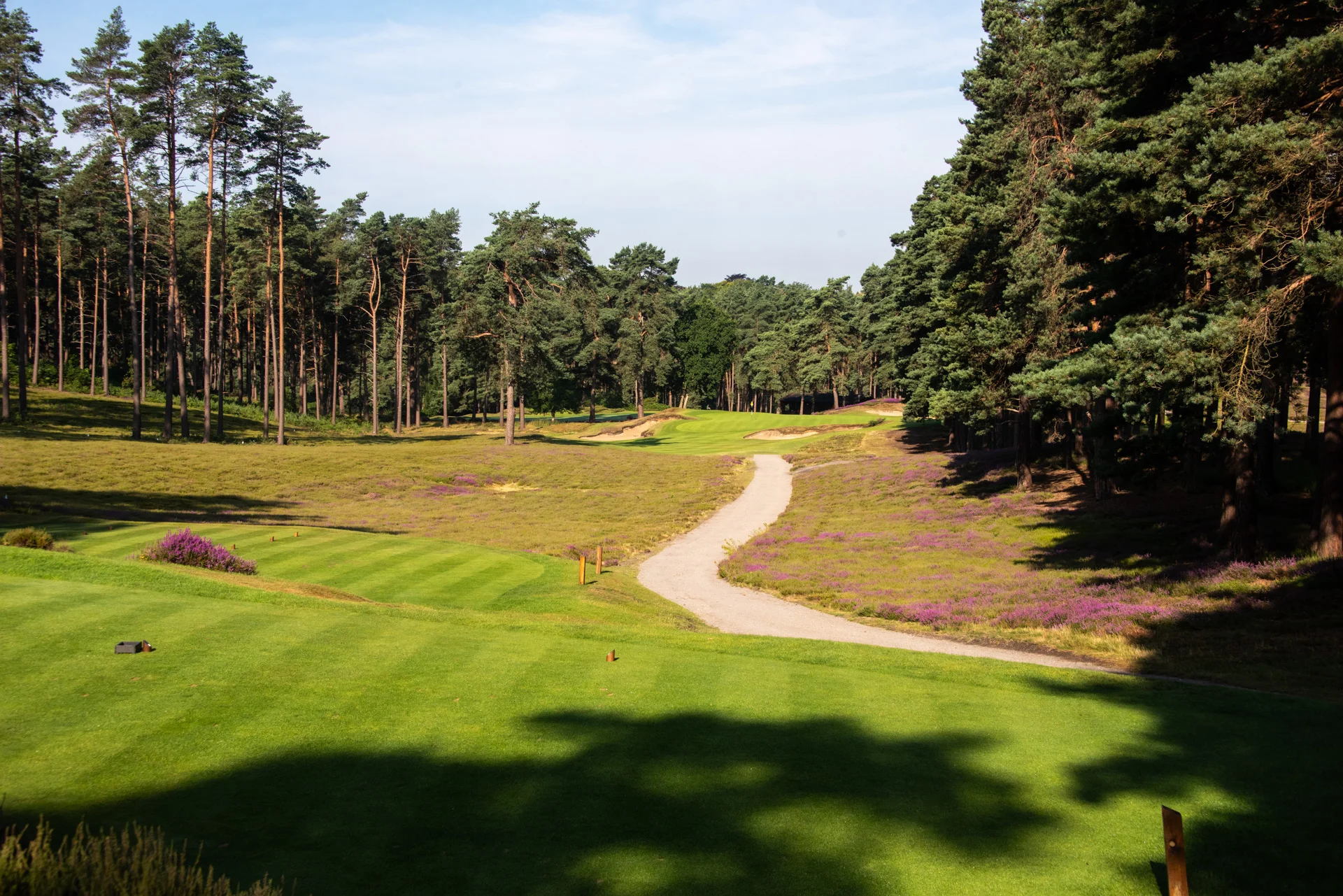 Sunningdale golf clubDSC_0919.jpg