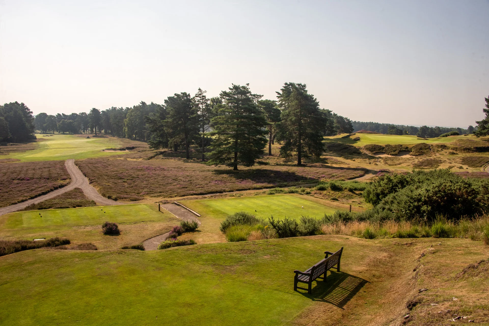Sunningdale golf clubDSC_1048.jpg