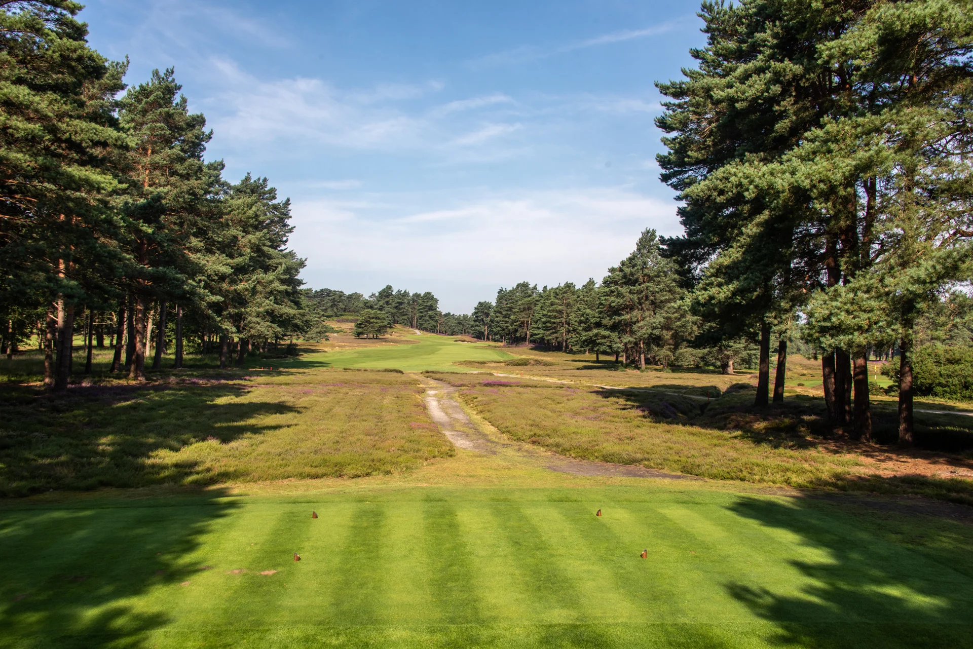 Sunningdale golf clubDSC_1156.jpg