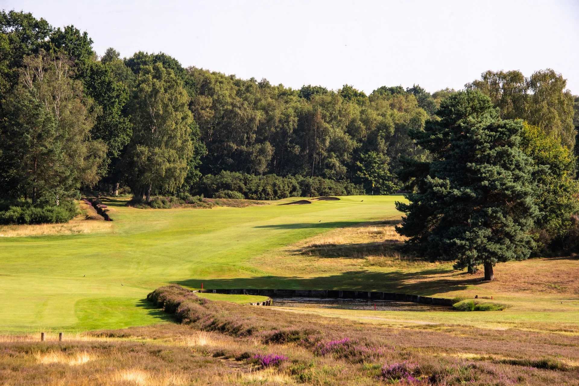 Sunningdale golf clubDSC_1228.jpg