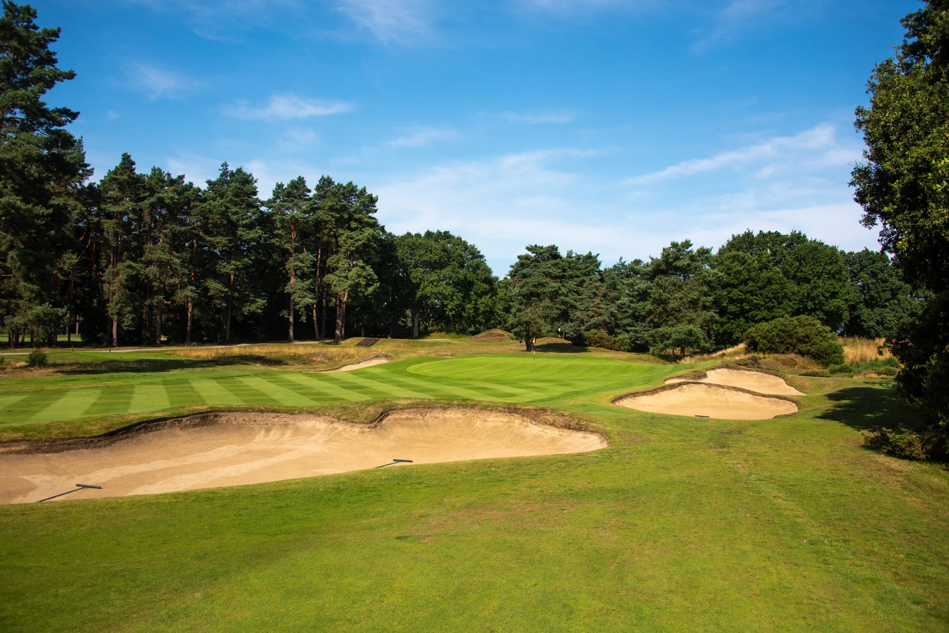 Sunningdale golf clubDSC_1369.jpg