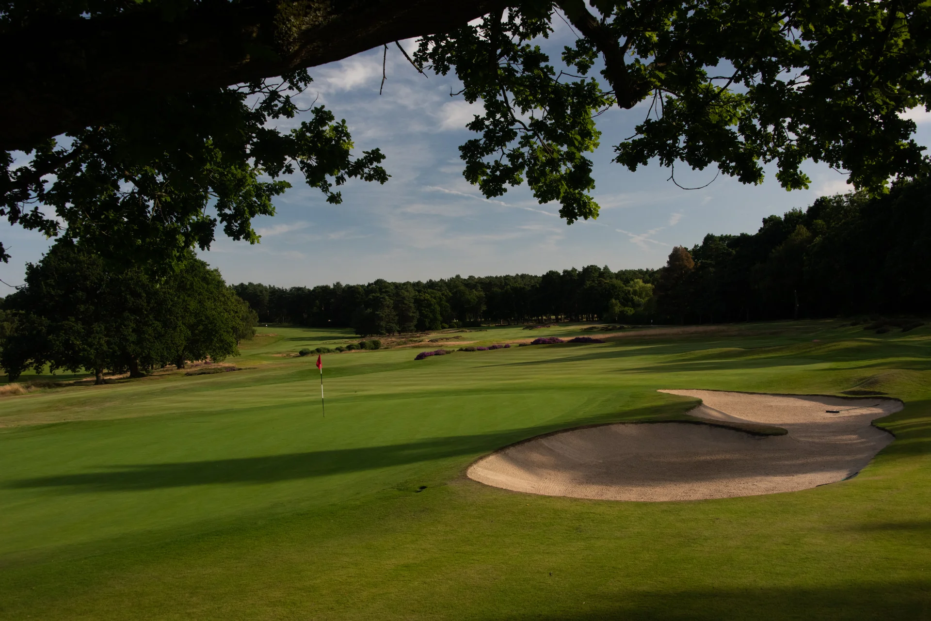 Sunningdale golf clubDSC_2543.jpg