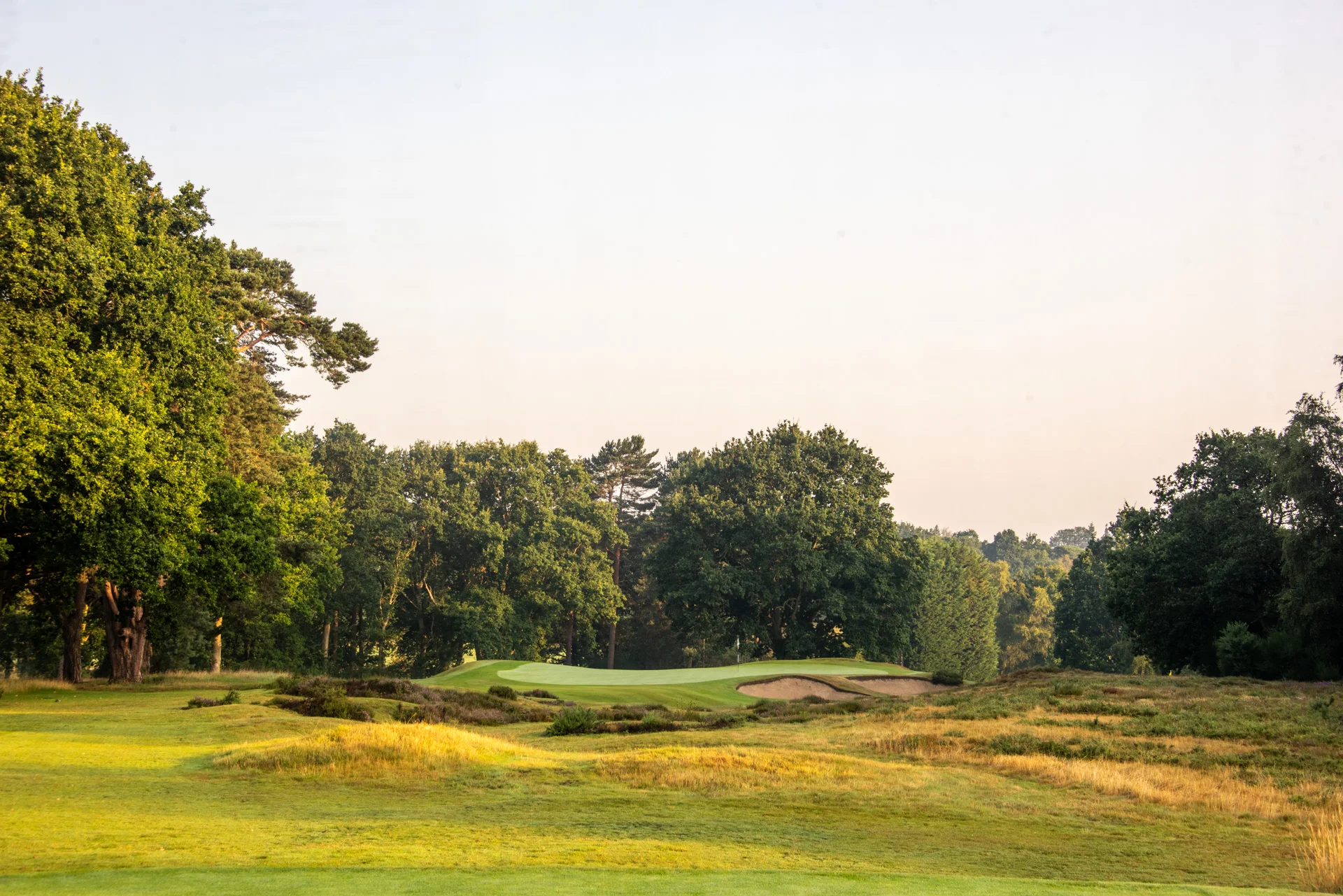 Sunningdale golf clubDSC_9612.jpg