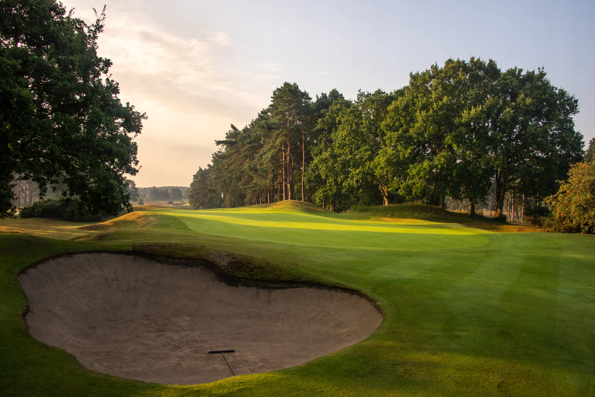 Sunningdale golf clubDSC_9617.jpg